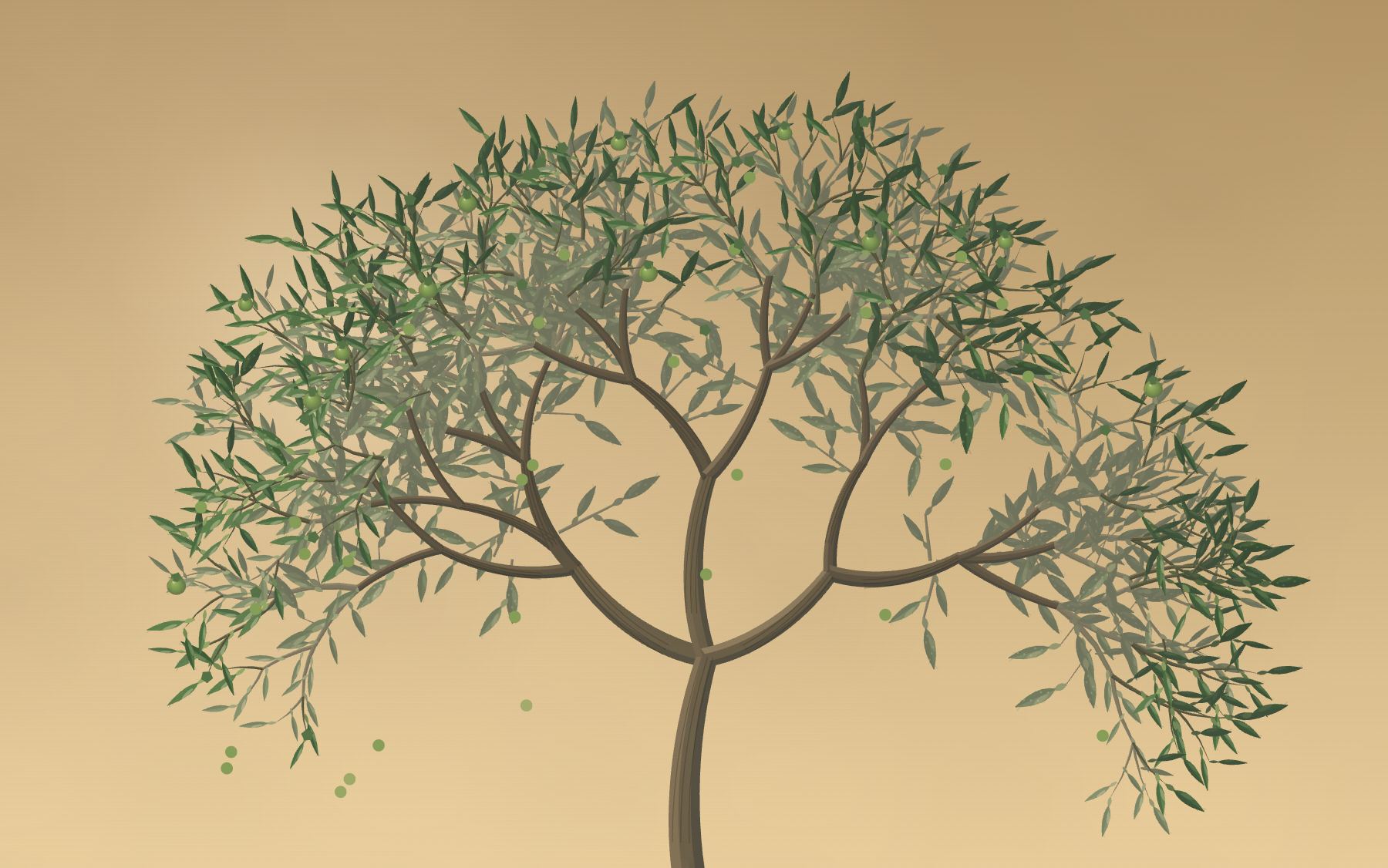 The canopy after June drop, showing empty calyxes
