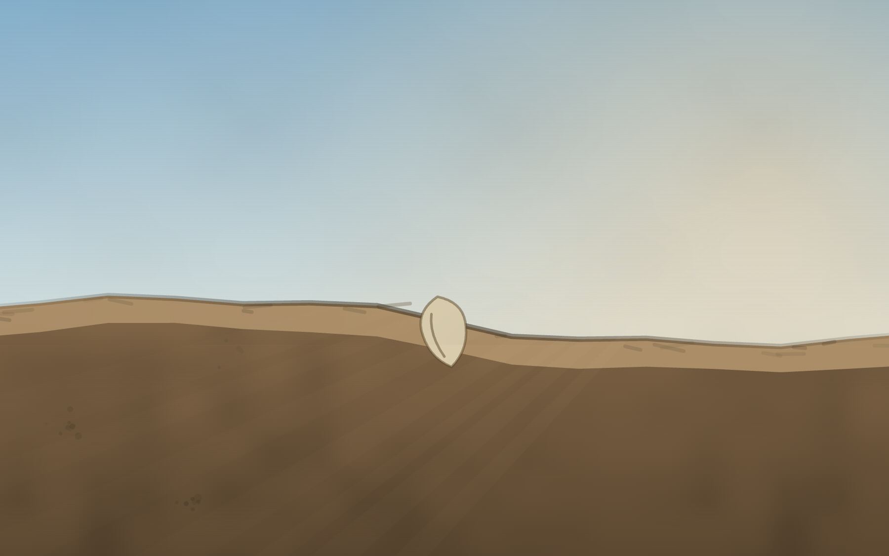 The seed germinating on the soil